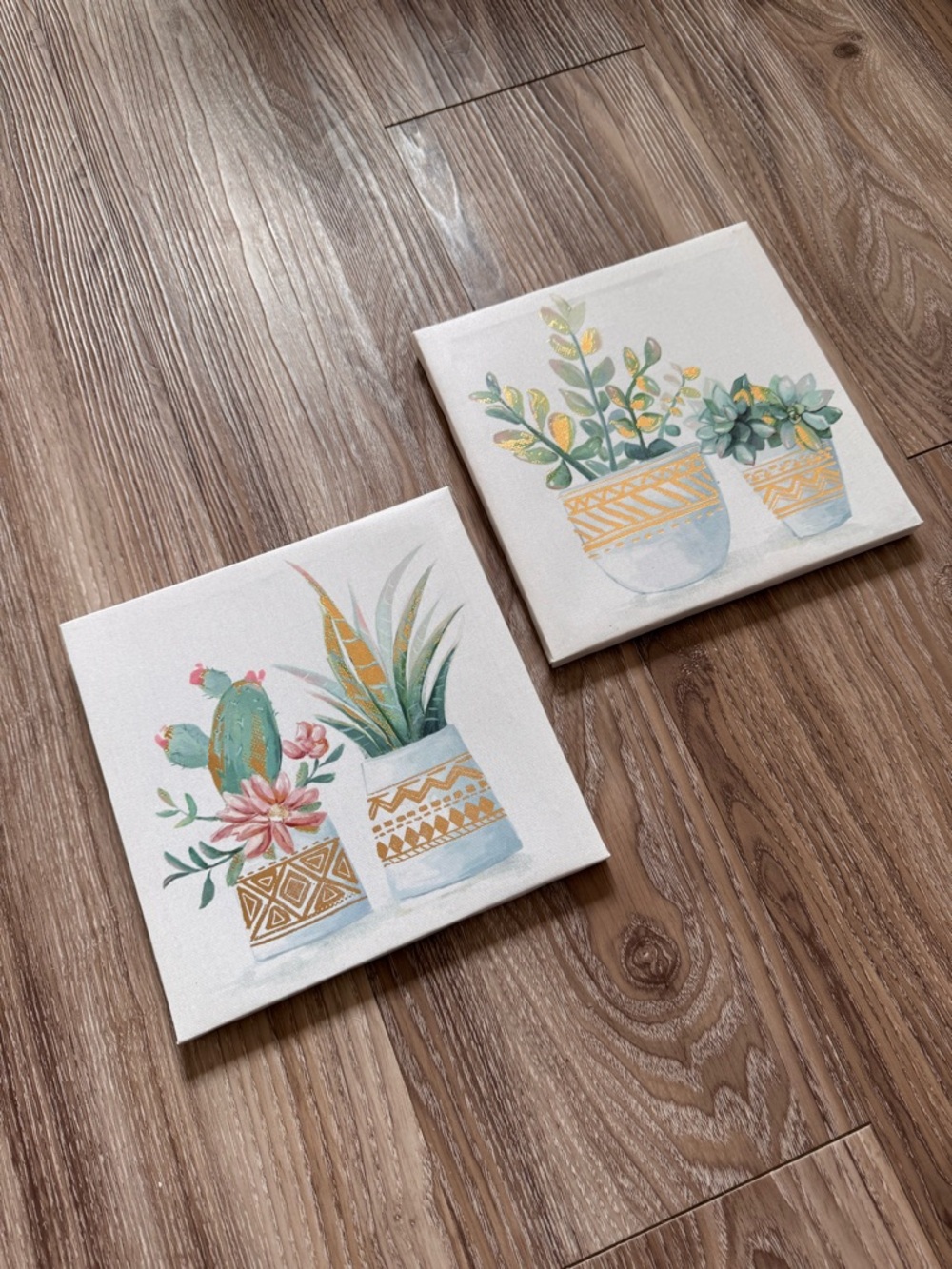 Succulent Plant Art Set - Picture 6 of 13